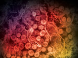             (MERS-CoV)