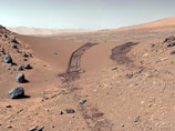  ,   Curiosity     ,   -       