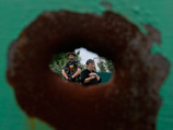                ,     ,  ,    ,  