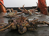  ,    " ",   ,        2006-2007         