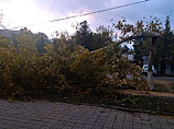 "  :    23  24       24    25     ,     --   , "