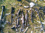         ,        2013 ,       