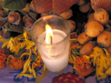   ,      17-   ,     