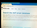  WikiLeaks   300        