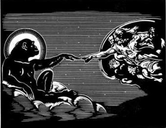 ����������� � ����� trincoll.edu