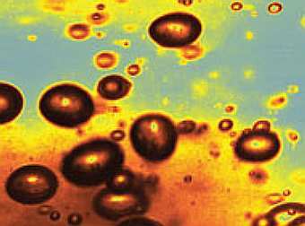 ����������� � ����� nature.com 