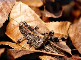 ������� � �������� ��������. ���� Tagry � ����� photosight.ru