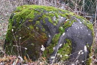 ���� � �����: www.midgard.net