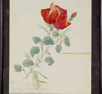 ������� ������ �����. ���� � �����: http://juliensauctions.com/