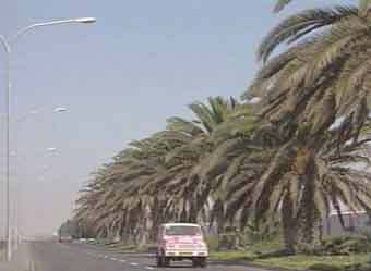 �������. ���� ���