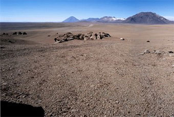 ������� �������, ���� � ����� wikipedia.org