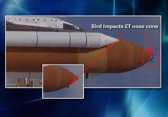 ������ ������������, ���� � ����� NASA