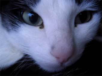 ���� ������� ����������. �����.��