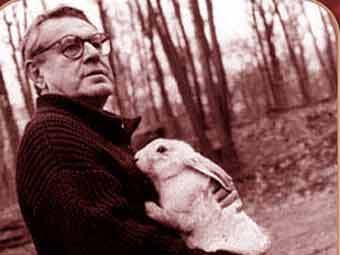 ����� ������. ���� � ������������ ����� ���������