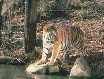 "����������" ������� �� ����������, ���� � ����� National Geographic