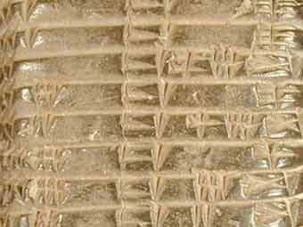 ����������� ��������. ���� � ����� brown.edu