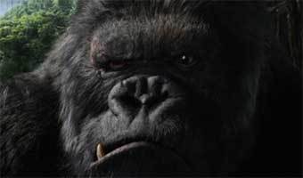 ���� ������ "���� ����". ���� � ����� 