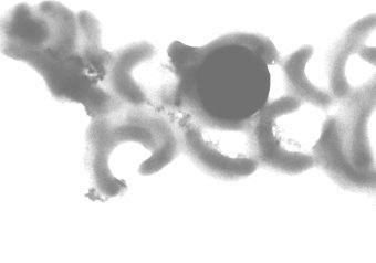 ������� Pelagibacter ubique, ���� � ����� osu.orst.edu