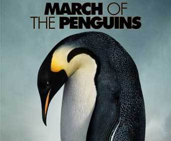 �������� ������� � ������������ ����� ������ "���� ���������"