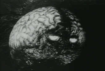 "���������� �������" � ����� scienceblog.com