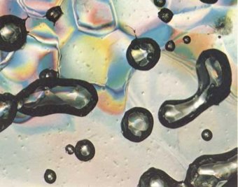 �������� ������� �� ����, ���� � ����� newscientist.com