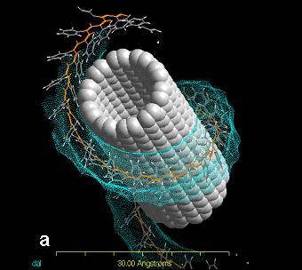 �������� ���������� � ��������, ������ � ����� ������������� ������������