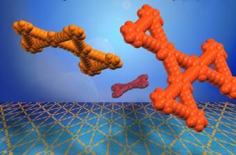 ����������� � ����� ����������� ������������