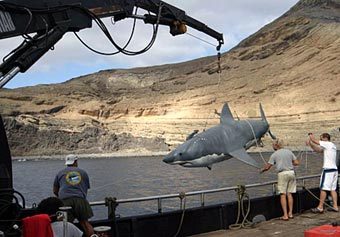 "����" ������� �����. ���� � ����� Nationalgeographic.com