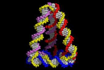 �������� �� ���, ����������� � ����� PhysicsWeb.org