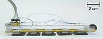 �����-������, ���� � ����� nature.com