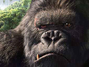 ���� �� ������ "����-����" � ����� imdb.com