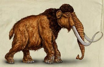 ���������� ������, ������� � ����� 3dshitrs.com