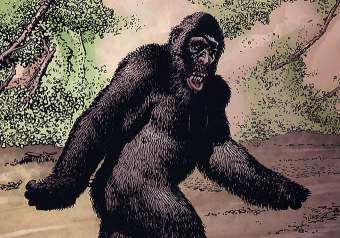 ������� � ����� steveniles.com