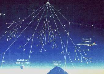 ������ ������ � ���������, ���� � ����� lyoinfo.in2p3.fr