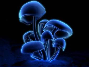 ����������� � ����� techspot.com