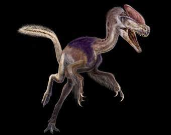 Guanlong wucaii, ������� � ����� independent.co.uk