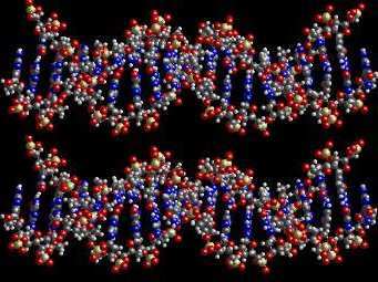 ����������� � ����� getreligion.org