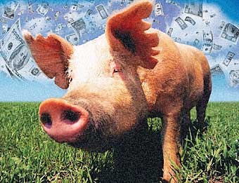 ������� ������� ������ ���� ����� �� ����� ������� ���������� ���������� �������