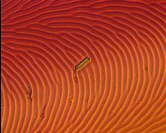 ���������� �������� � �������������������� ������, ���� � ����� physicsweb.org