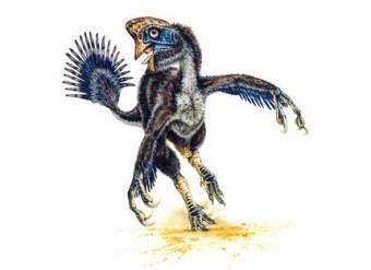 Hagryphus giganteus, ���� � ����� Livescience.com