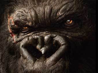 ����������� � ������������ ����� ������ "���� ����"