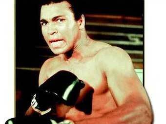 �������� ���. ���� � ����� art.com