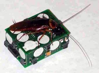 ������������� � ��������� ��������, ���� � ����� leurre.ulb.ac.be