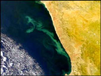 ������������, ����������� ������ � ����� BBC