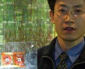 ���� �����, ���� � ����� chinadaily.com.cn