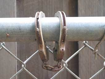 ���������� ������� ������ ����������, ������ ��������, ������� � �����. ���� terryjue.org