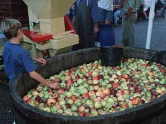 ������������ ���� � ������� ����-����. ���� � ����� DW-World