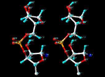 �������� �������� ���, ���� � ����� gibk26.bse.kyutech.ac.jp