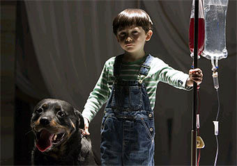 ���� �� ������ "����������������" � ����� imdb.com