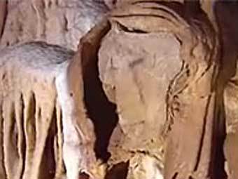 "����" �� ������ ��������. ���� � ����� hominides.com